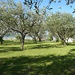 Burja With Olive Grove & Salt Pans View شقة *