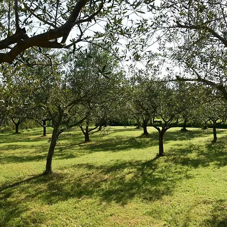 Burja With Olive Grove & Salt Pans View Apartman Portorož