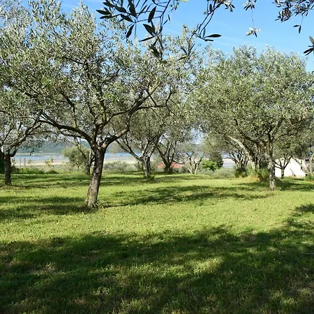 Burja With Olive Grove & Salt Pans View Apartman *