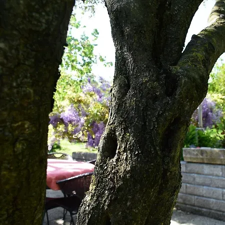 Burja Apartamento *