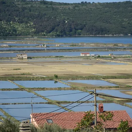 アパート Burja With Olive Grove & Salt Pans View ポルトローシュ
