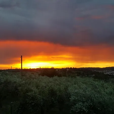 Burja Apartamento