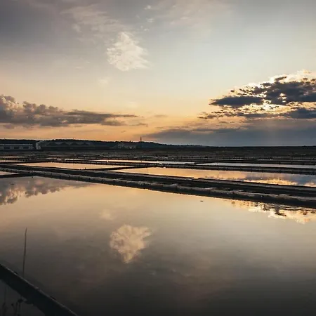 Burja Daire Portorož