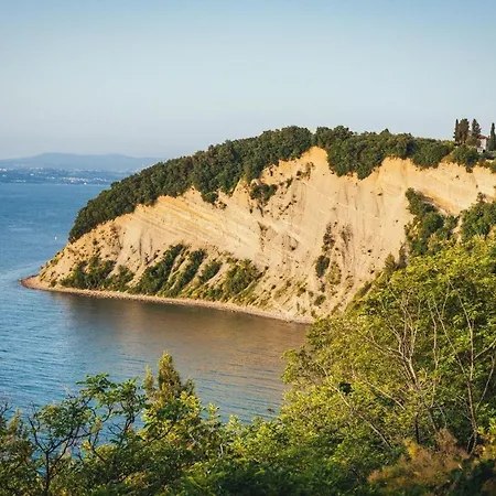 Apartmán Burja With Olive Grove & Salt Pans View *