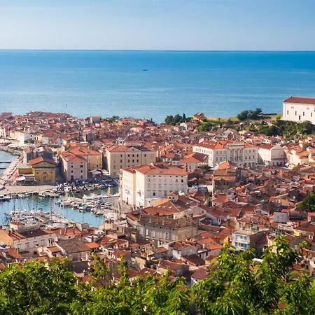 Burja With Olive Grove & Salt Pans View Apartmán