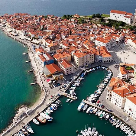 Burja With Olive Grove & Salt Pans View Portorož