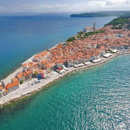 Burja With Olive Grove & Salt Pans View *