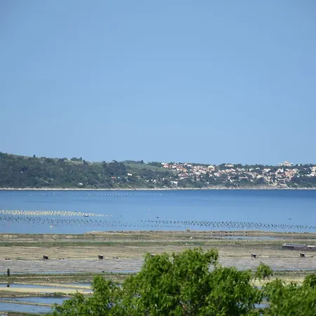 Burja With Olive Grove & Salt Pans View アパート ポルトローシュ