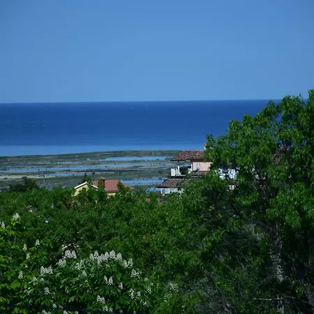 Burja With Olive Grove & Salt Pans View ポルトローシュ