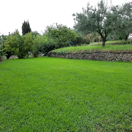 Burja With Olive Grove & Salt Pans View