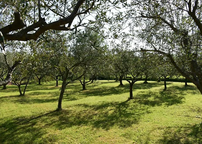 Burja With Olive Grove & Salt Pans View Апартаменты Порторож