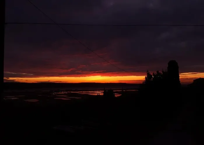 Burja With Olive Grove & Salt Pans View Апартаменты