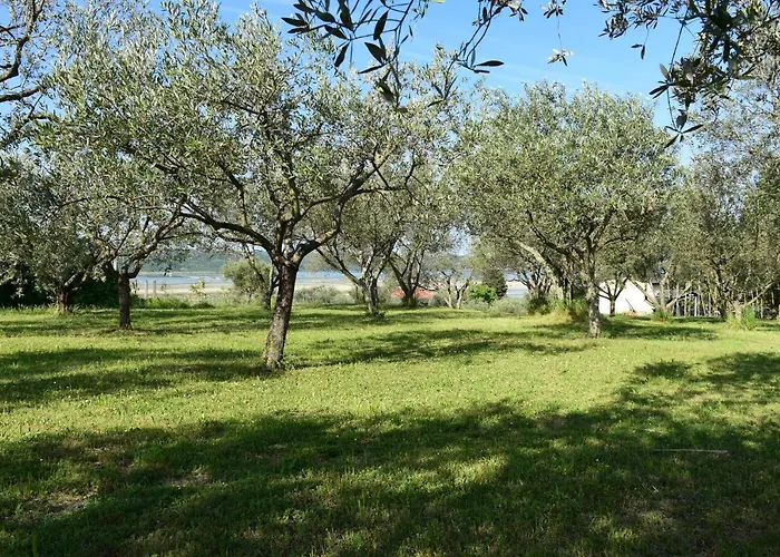 Burja With Olive Grove & Salt Pans View Apartment *