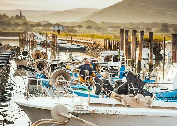 Apartment Burja With Olive Grove & Salt Pans View *