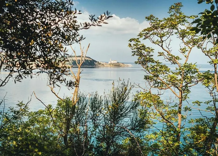 Apartment Burja With Olive Grove & Salt Pans View