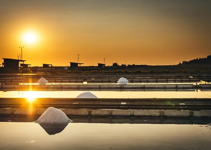 Burja With Olive Grove & Salt Pans View Portoroz