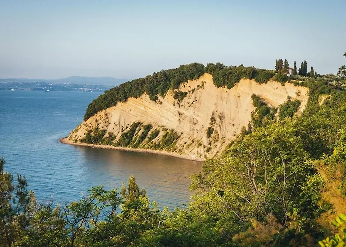 Apartment Burja With Olive Grove & Salt Pans View *