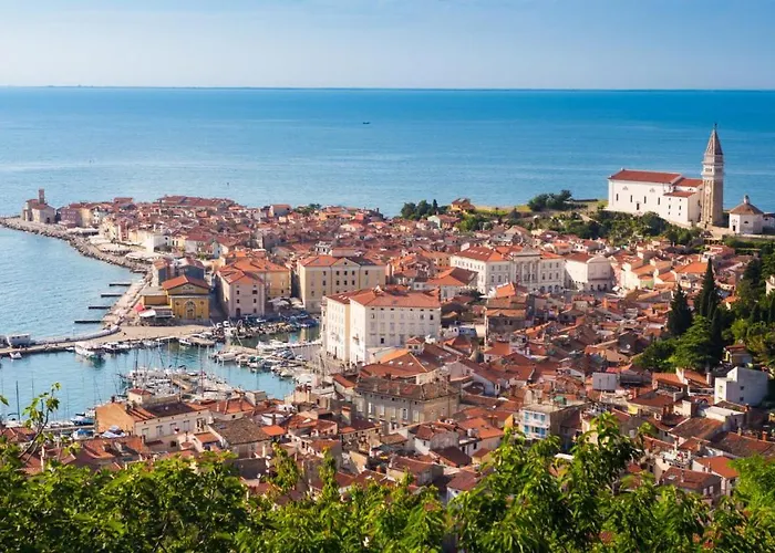 Burja With Olive Grove & Salt Pans View Apartment